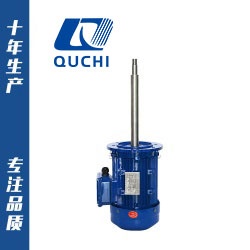 非標(biāo)定制三相異步長(zhǎng)軸電機(jī)