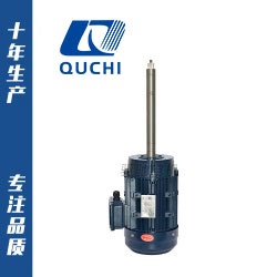 非標(biāo)定制系列長(zhǎng)軸電機(jī)