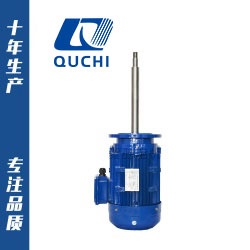 化工泵專用長(zhǎng)軸電機(jī)